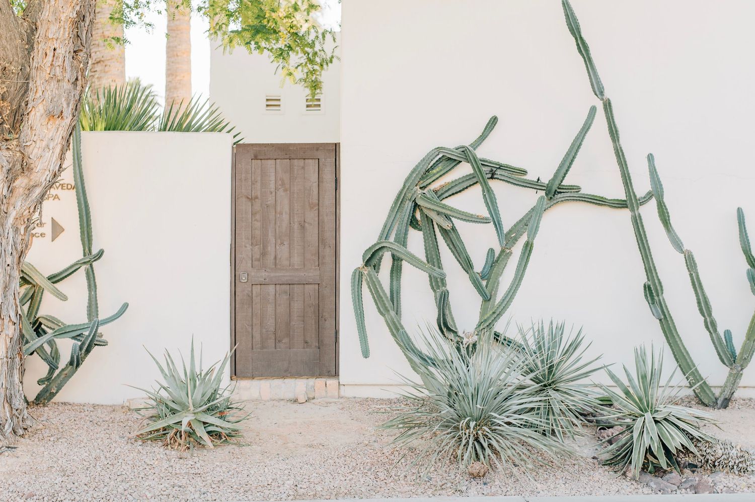 Litchfield Park Glendale Peoria Phoenix Photographer