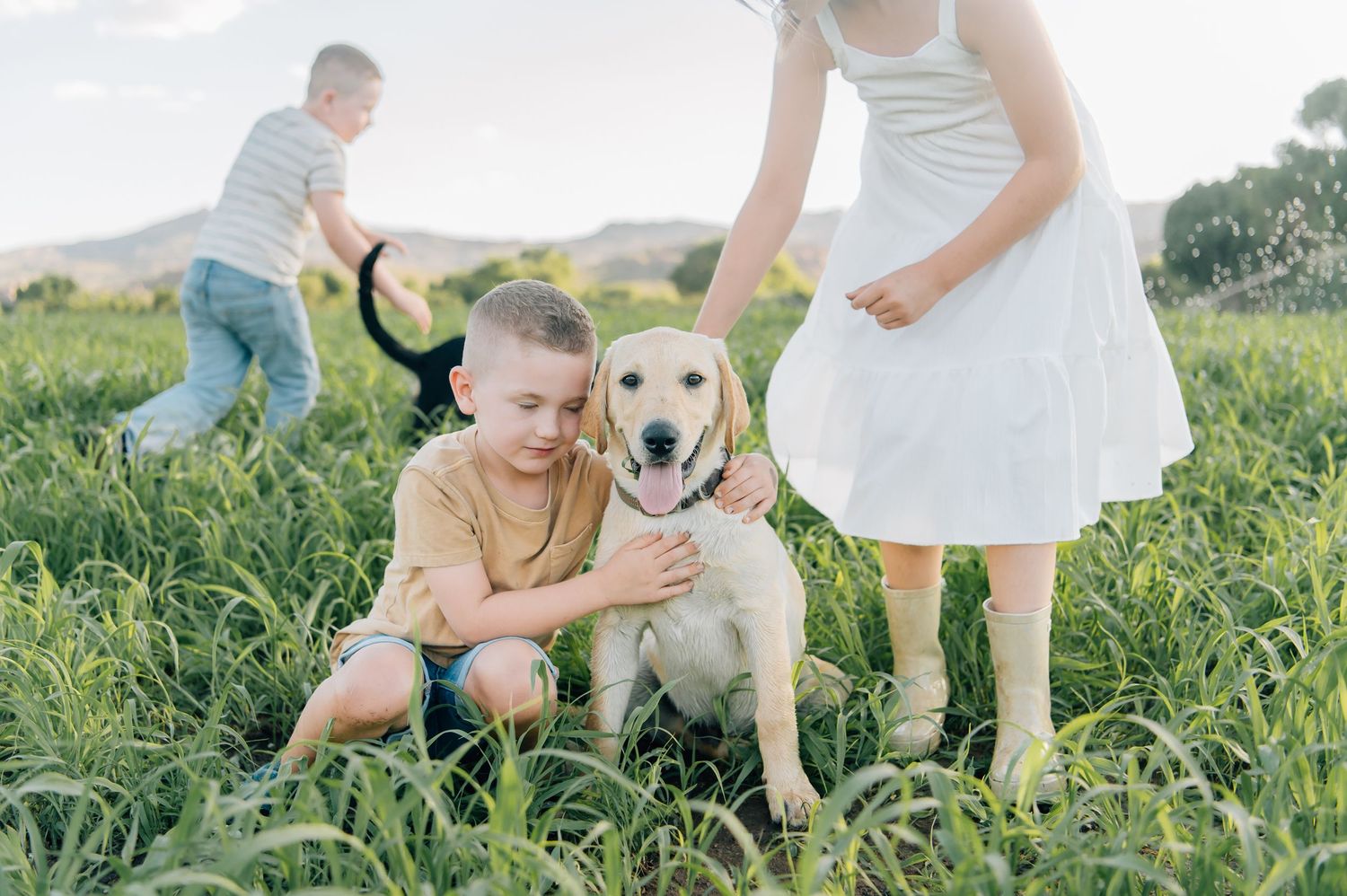Phoenix Family photography Peoria Verrado Glendale Vistancia dogs puppies kids