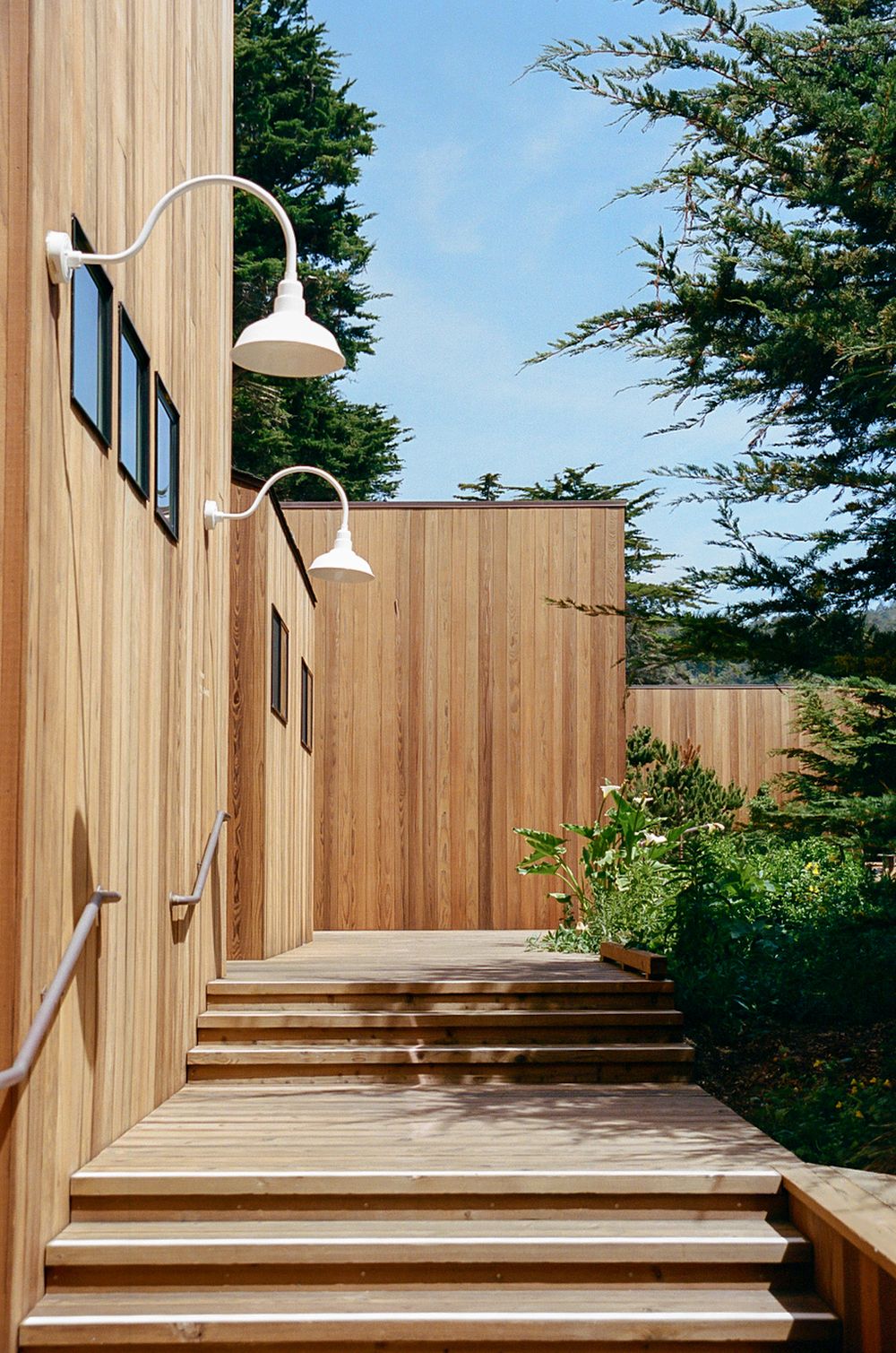 Modern cedar wood deck with white gooseneck barn lights, wooden steps, and lush greenery under a blue sky.