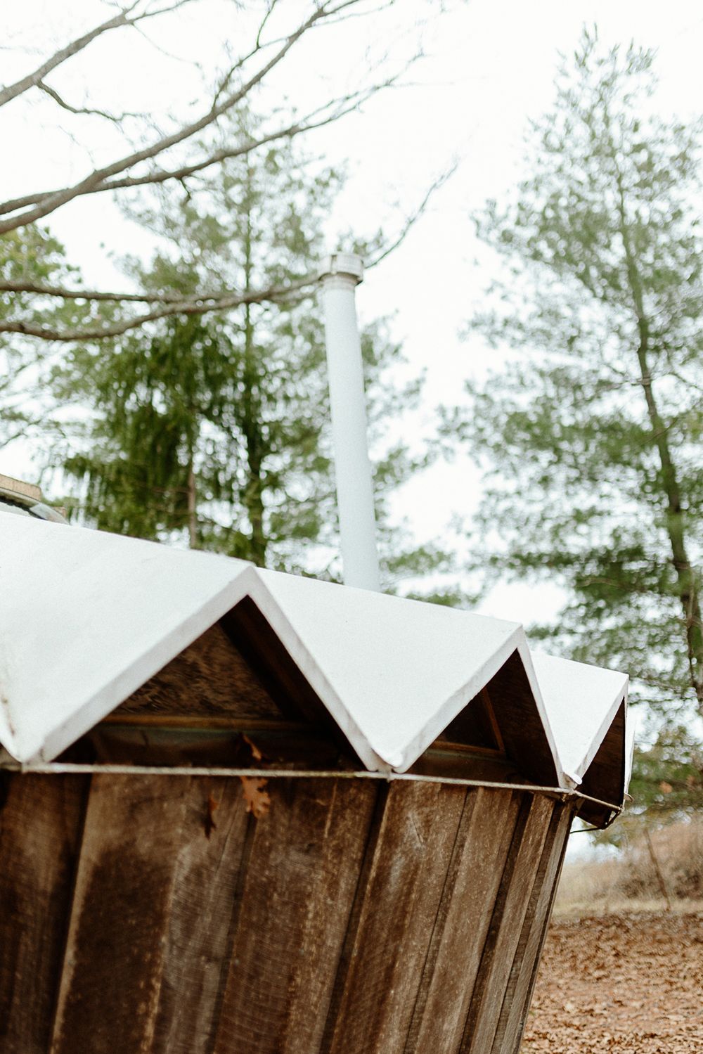 Rustic wooden sugar shack with zigzag metal roof and chimney pipe surrounded by bare trees in early spring.