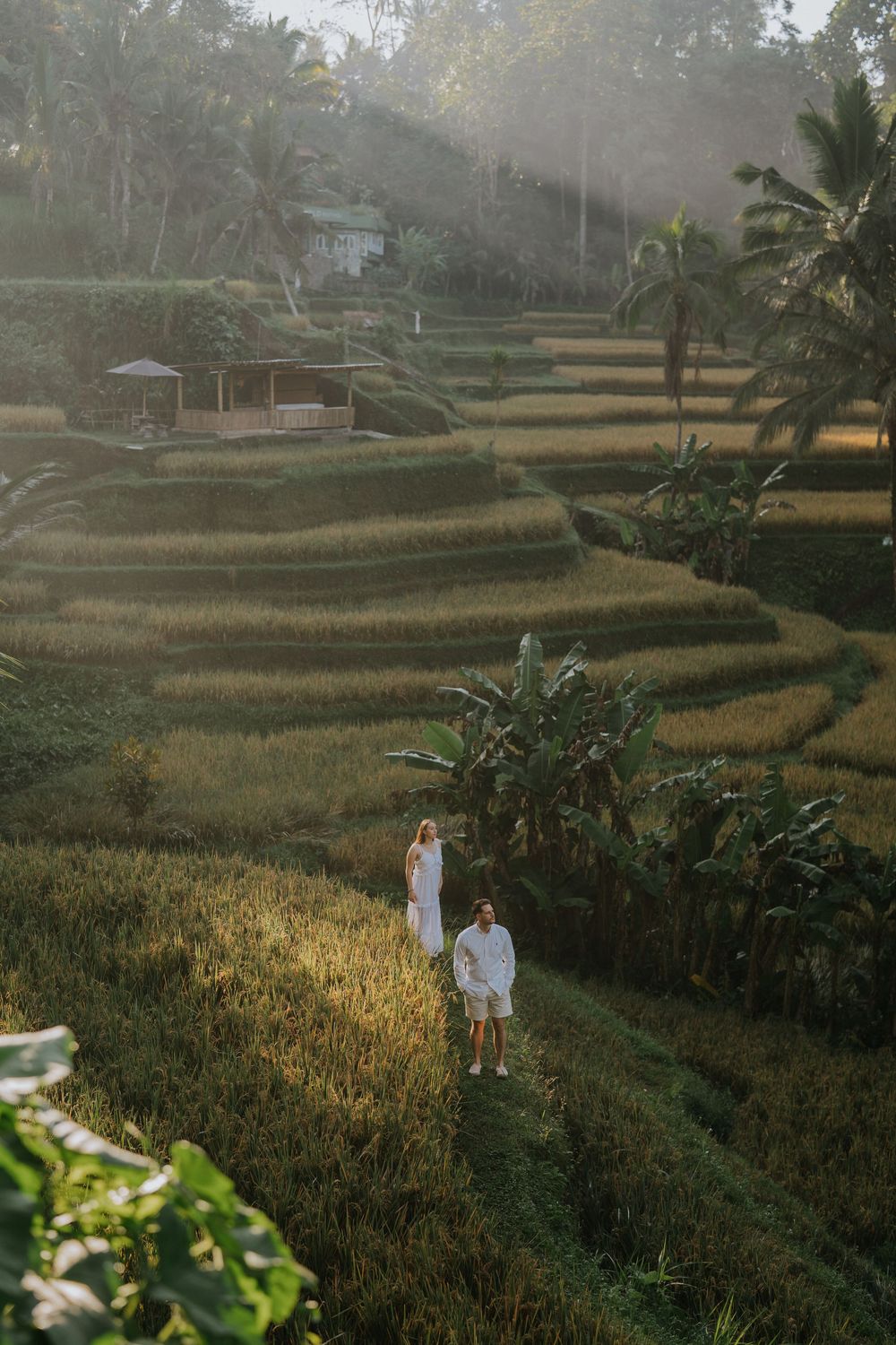 Natural couple portrait at Ceking Rice Terrace Bali