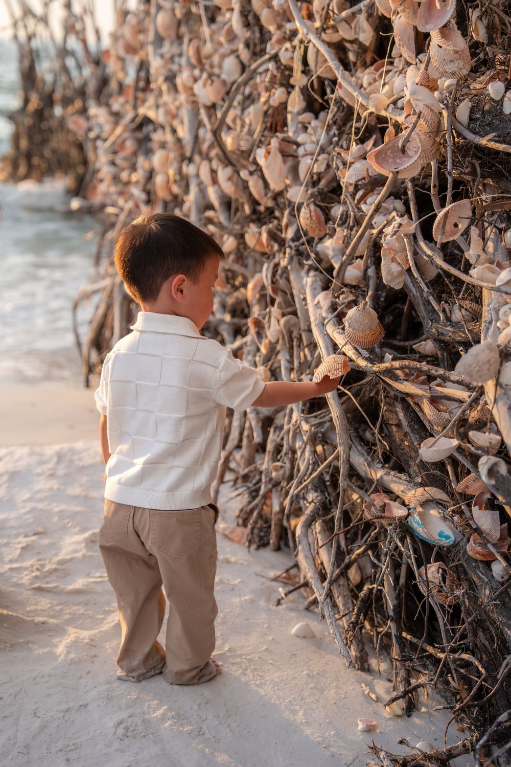 A young Asian boy explores a decorative driftwood wall covered in seashells on a beach.