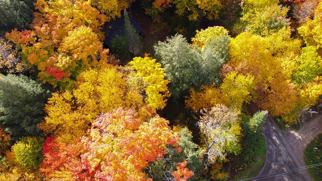 Szumski Media - Drone photo - Fall in Muskoka