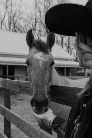 Woman in a black hat feeds a buckskin horse by hand over a wooden fence at a rustic ranch in black and white.