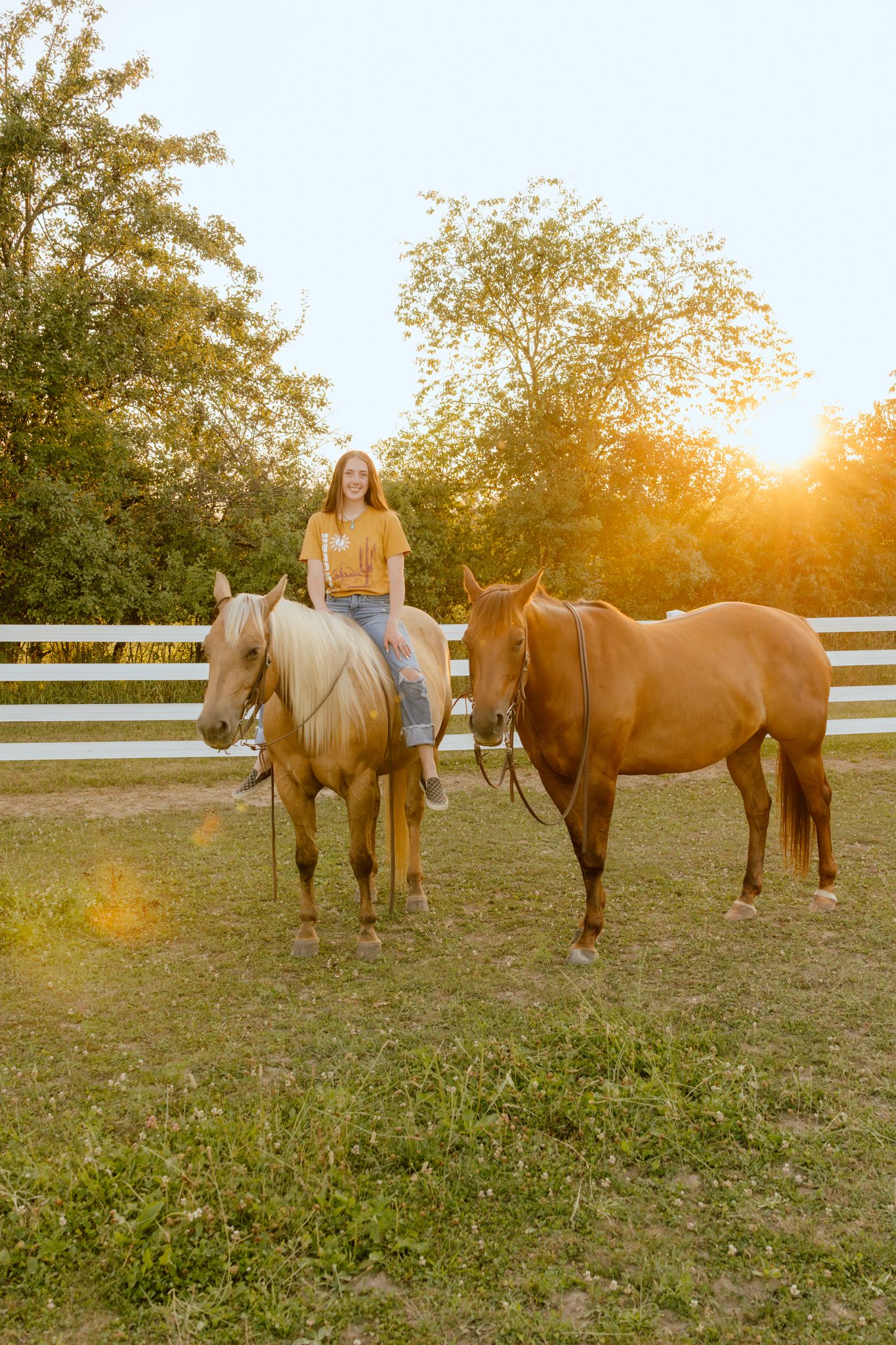 Young woman in a yellow top and jeans sits on a palomino horse beside a chestnut horse in a grassy paddock at golden sunset.