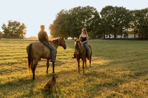 Two people on horseback and a brown dog rest in a sunlit grassy field with tall trees and a farmhouse in the background at golden hour.