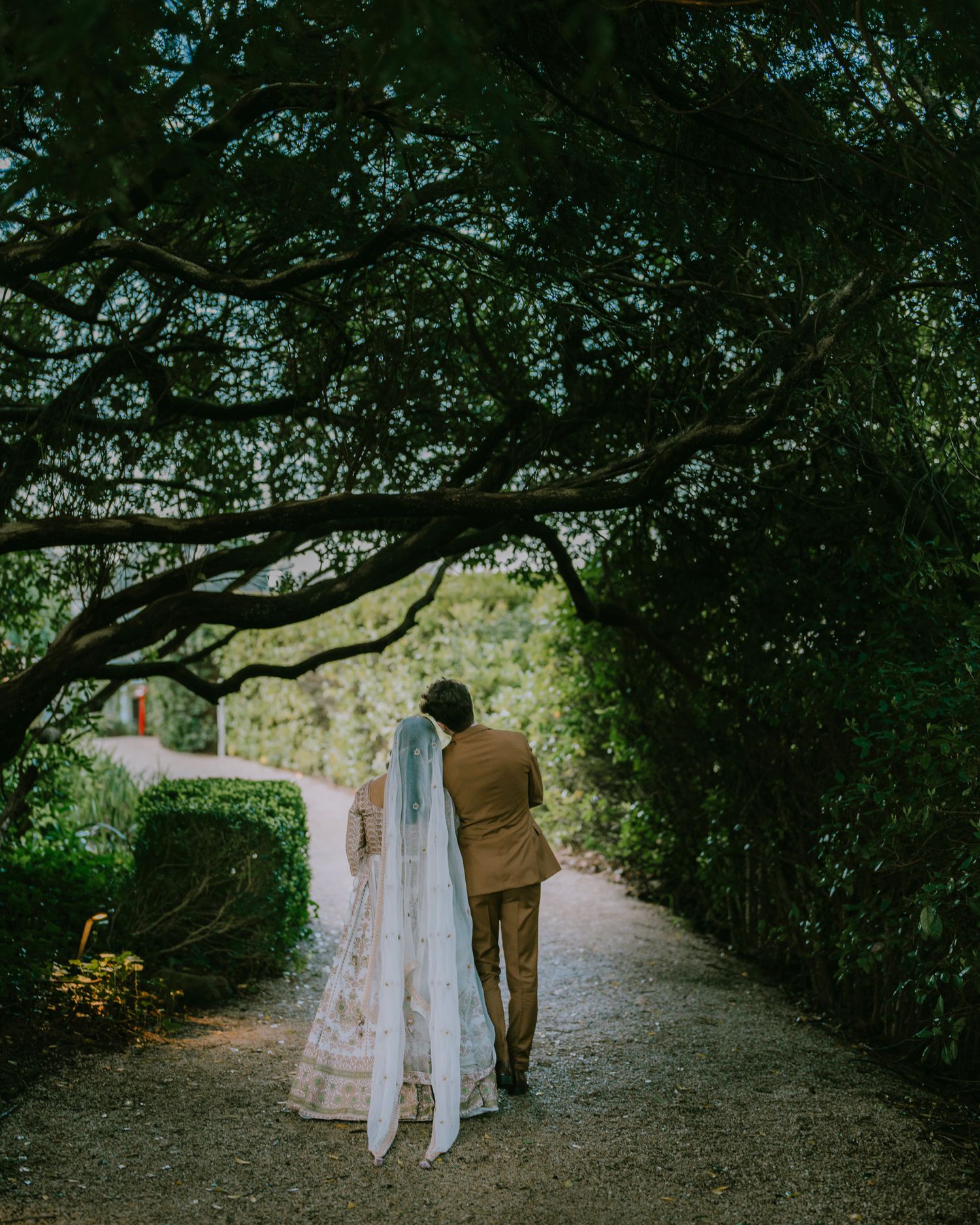 Bride in a lace gown and long veil walks with the groom under a leafy tree canopy - golden hour Adelaide wedding portraits