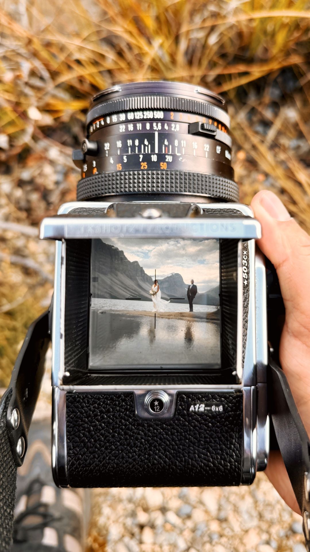 Hasselblad 503CX waist-level viewfinder framing a Bow Lake wedding portrait, film wedding photography by a Banff wedding photographer