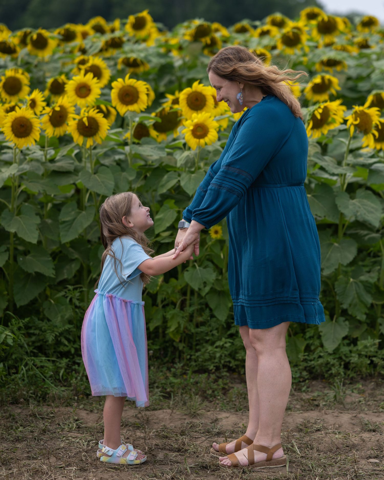 A mother and young daughter hold hands and smile at each other in a vibrant sunflower field for New Hampshire sunflower mini sessions