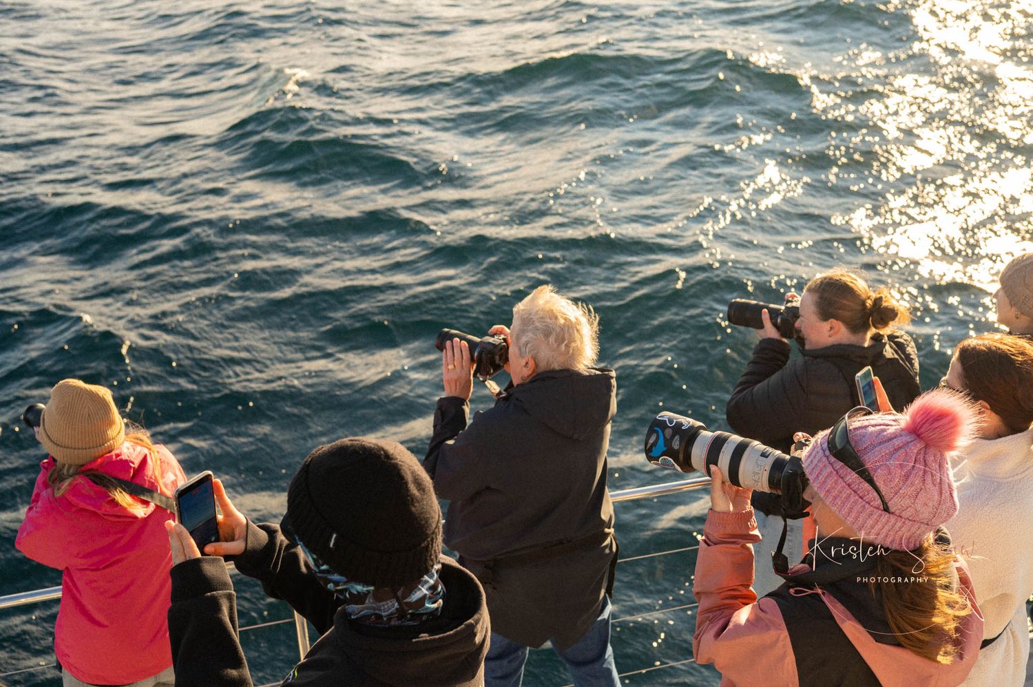 Group of tourists photographing ocean wildlife from a boat deck during a whale watching tour at sunset.