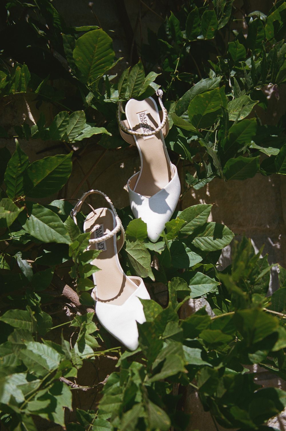 White bridal heels with ankle straps nestled among lush green leaves in a garden setting.