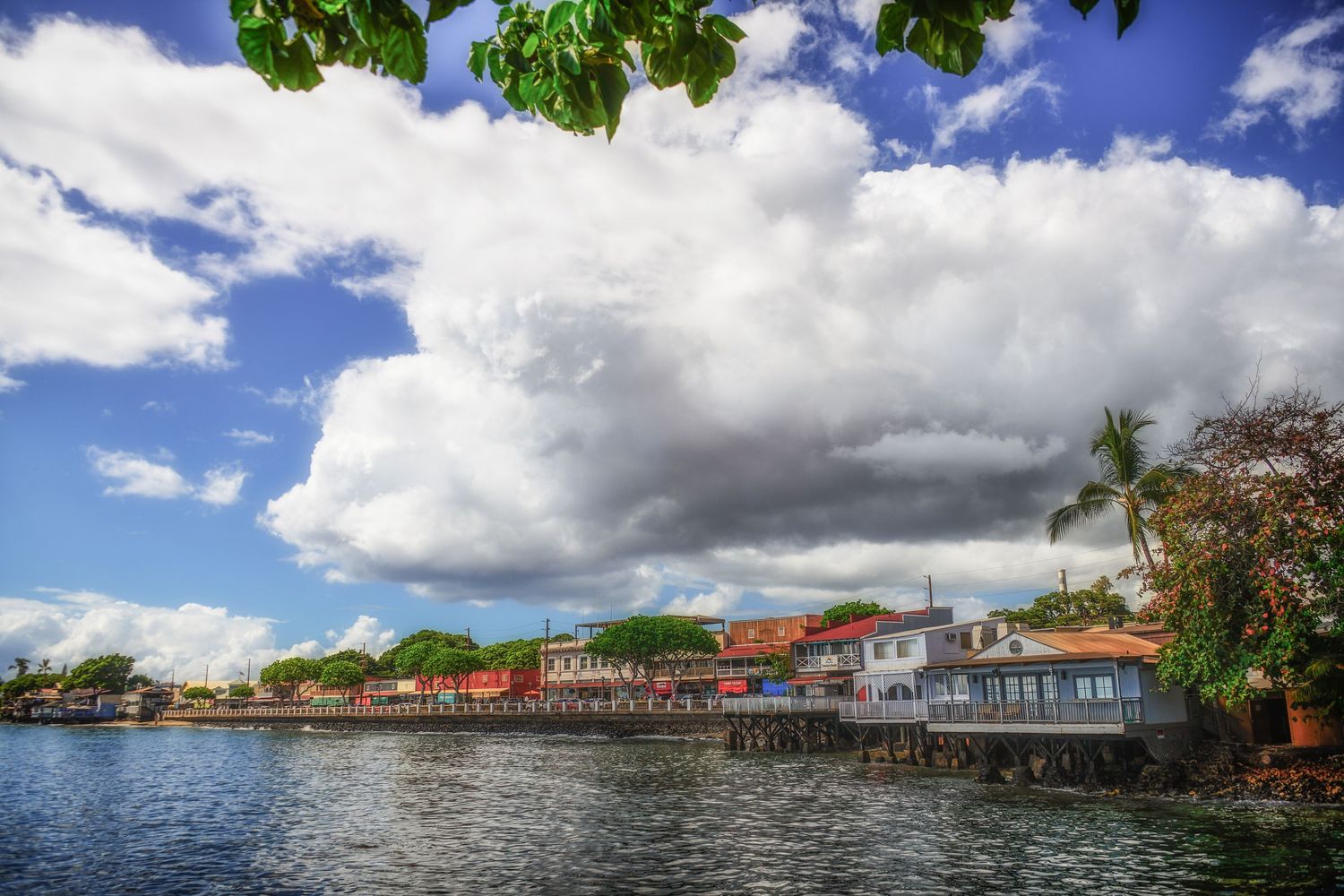 Maui photographer L. Wayne Hancock offers bespoke portraiture, intimate wedding photography, and fine-art landscapes inspired by Hawaii.