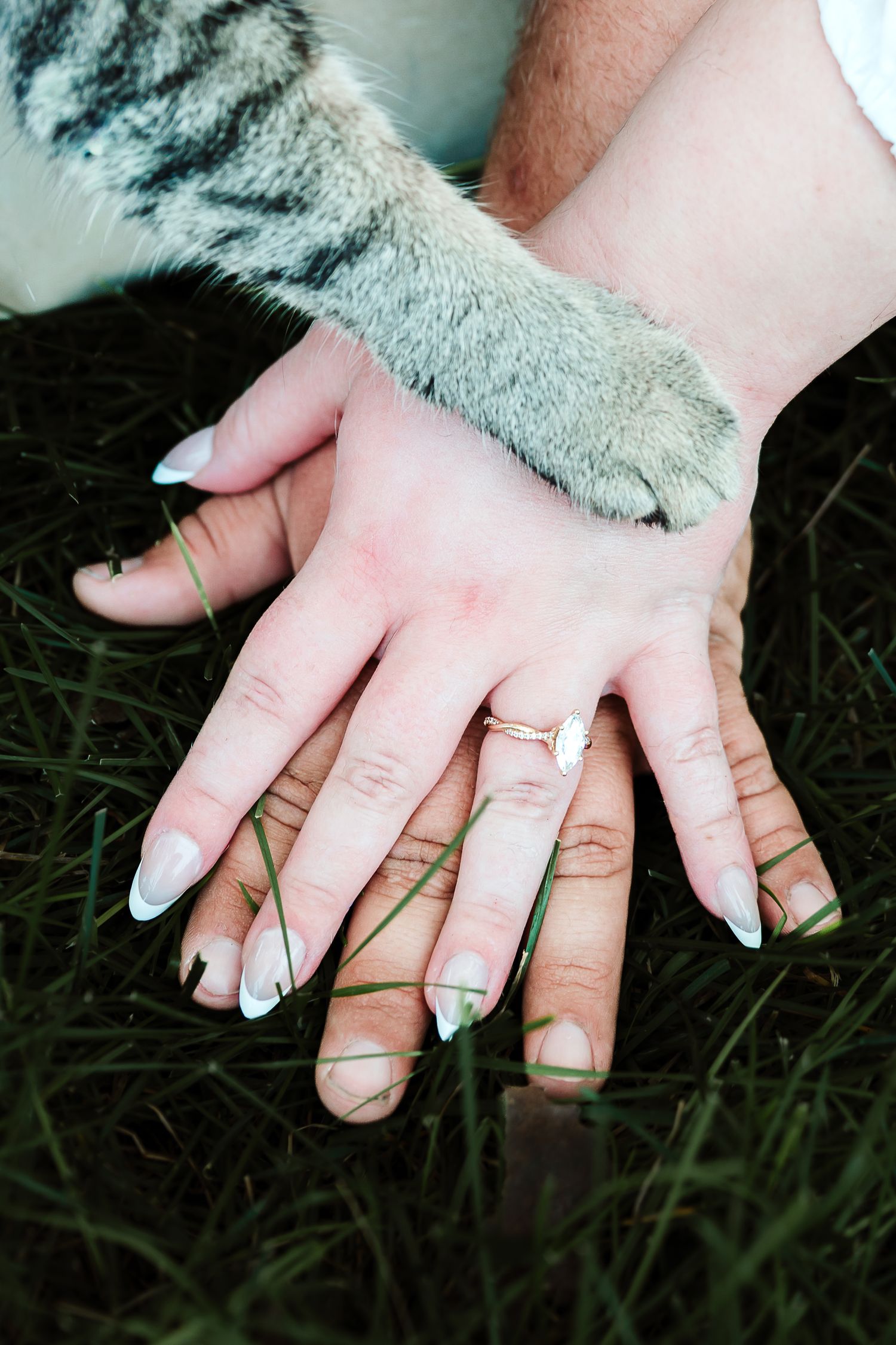 Two human hands with white French tip nails and a gold ring resting on grass, topped by a cat paw.