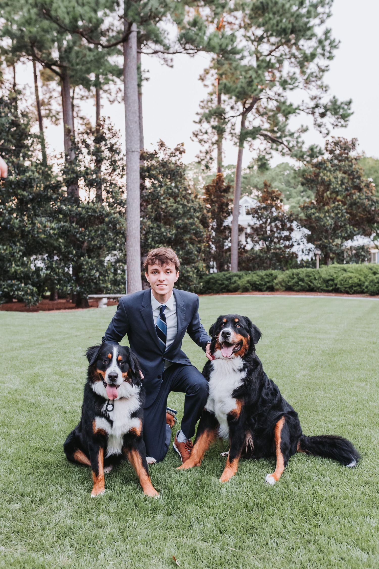 Two Bernese Mountain Dogs pose with a person in a suit on a manicured lawn.