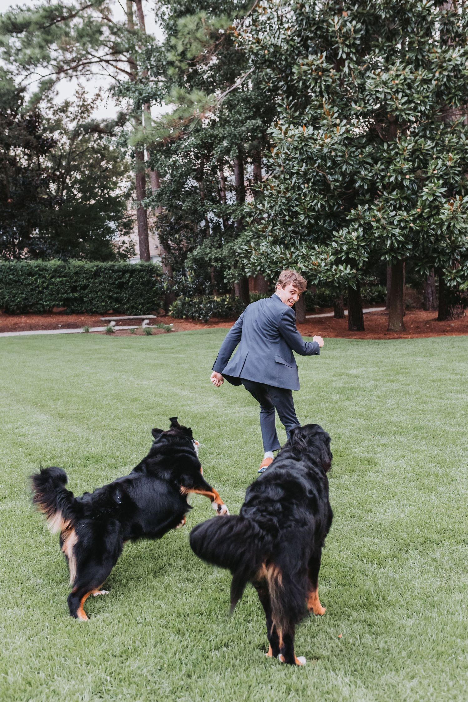 Playful interaction between two dogs and their handler on a sunny lawn.