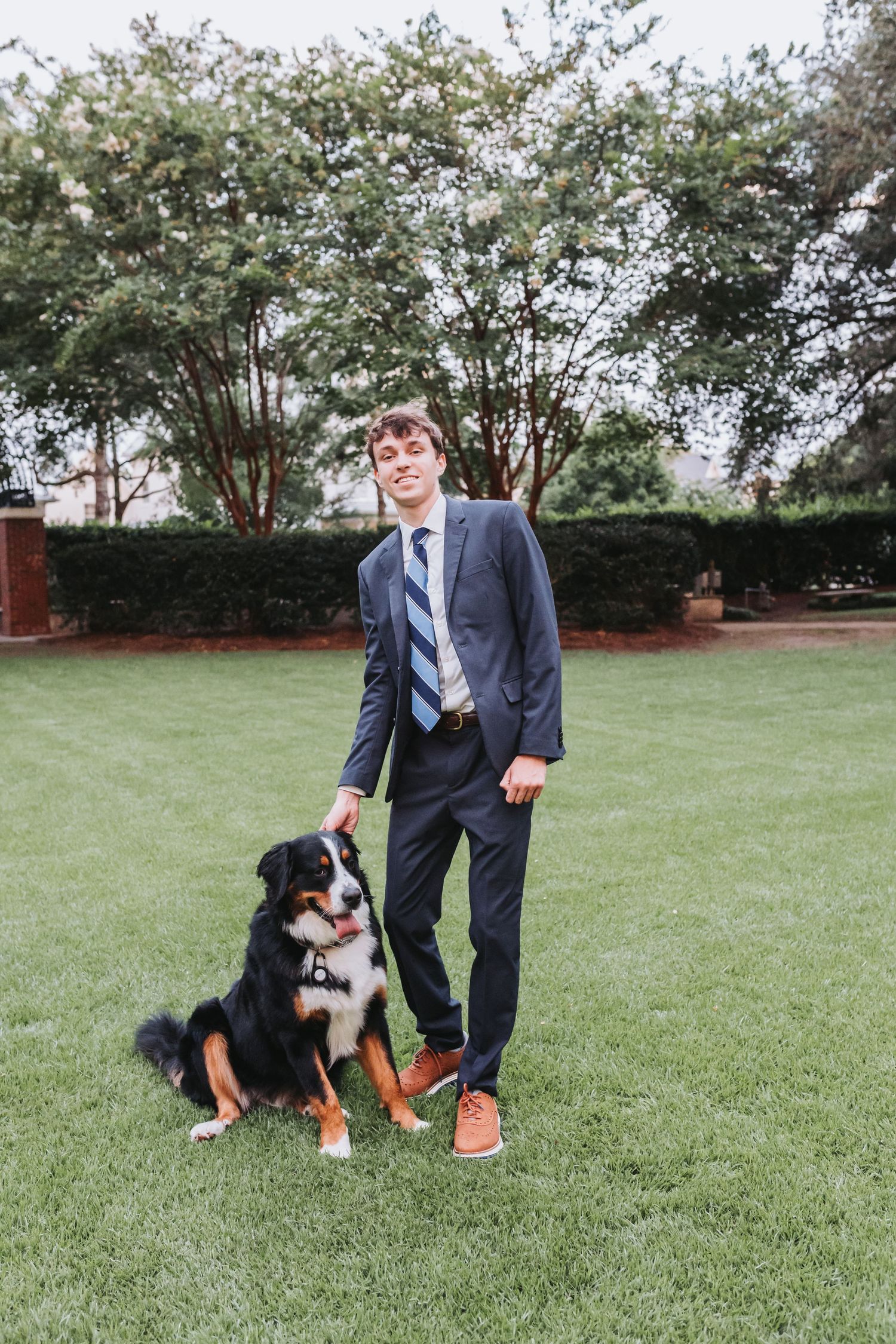 A person in a navy suit stands on a green lawn with a beautiful Bernese Mountain Dog on a leash.