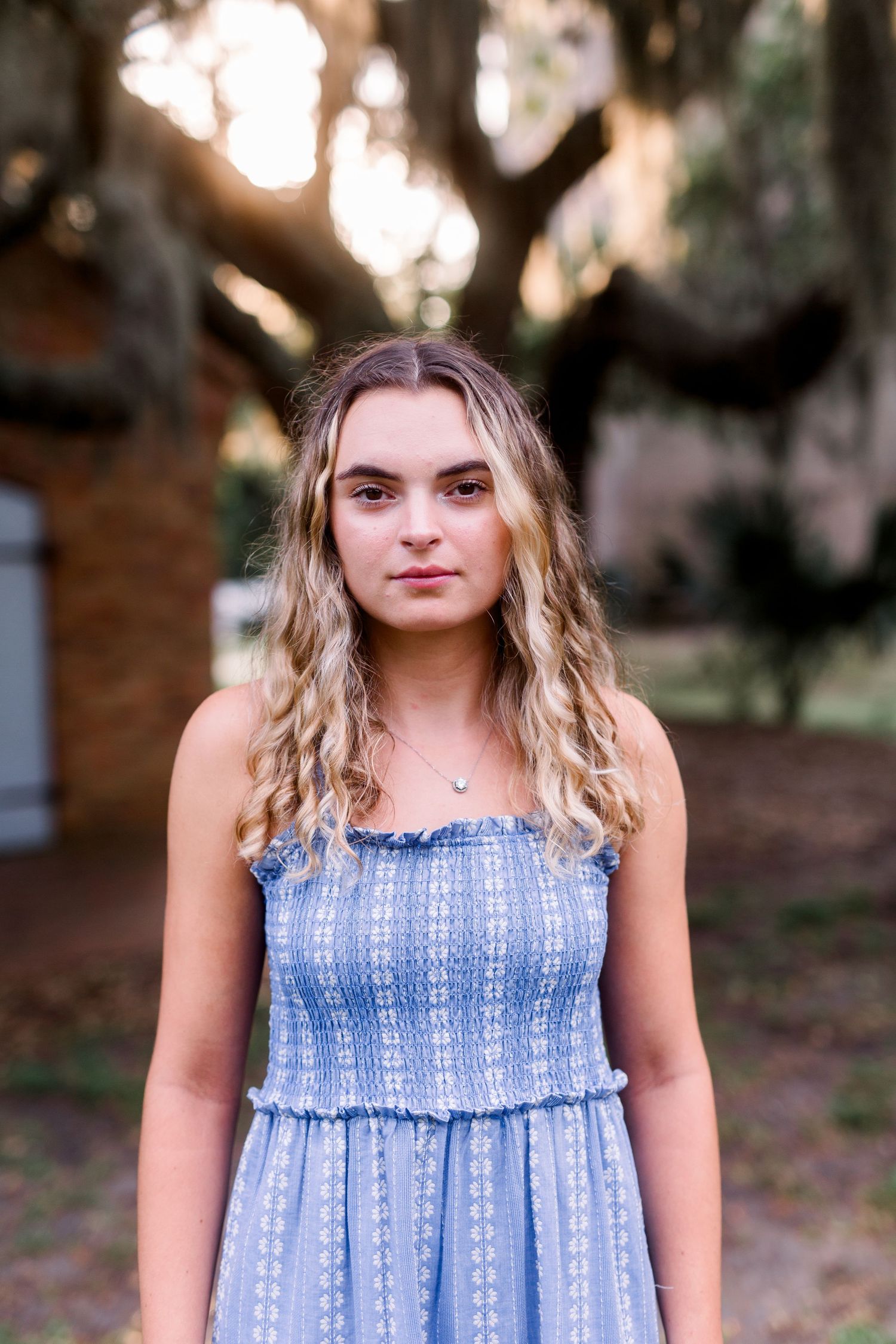 A portrait of a woman in a blue smocked dress standing outdoors at sunset.