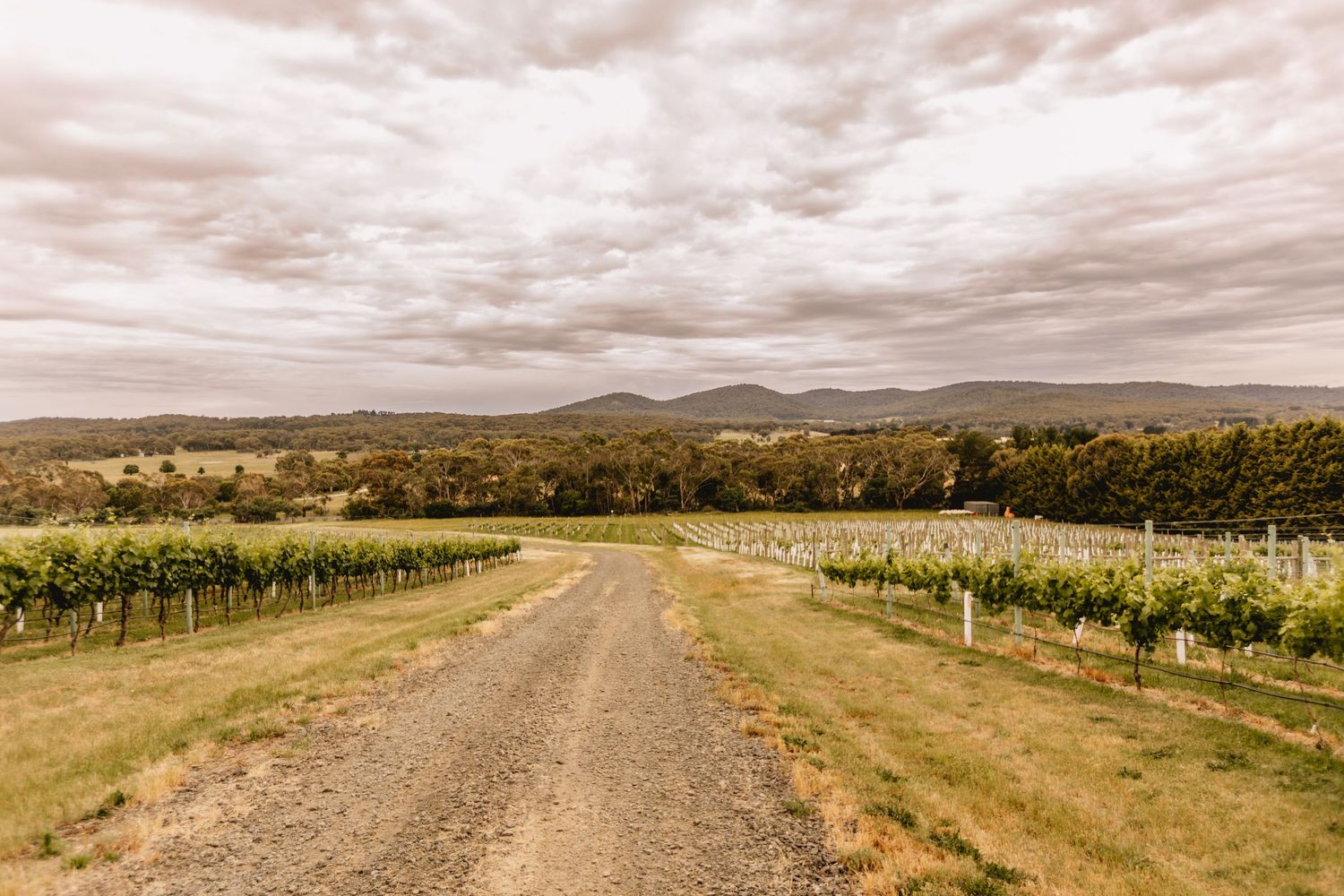 Macedon Ranges Elopements