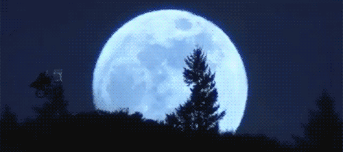 A large full moon glowing blue-white illuminates silhouetted pine trees against a dark night sky.