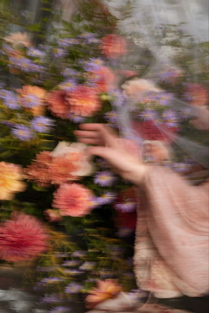 Blurred motion photo of hands reaching for colorful dahlias and purple asters in a lush floral arrangement.