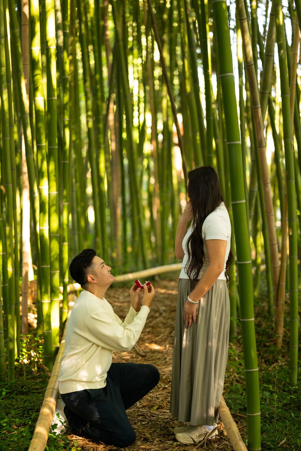 Man proposing with ring box to woman in lush green bamboo forest, romantic marriage proposal outdoors.
