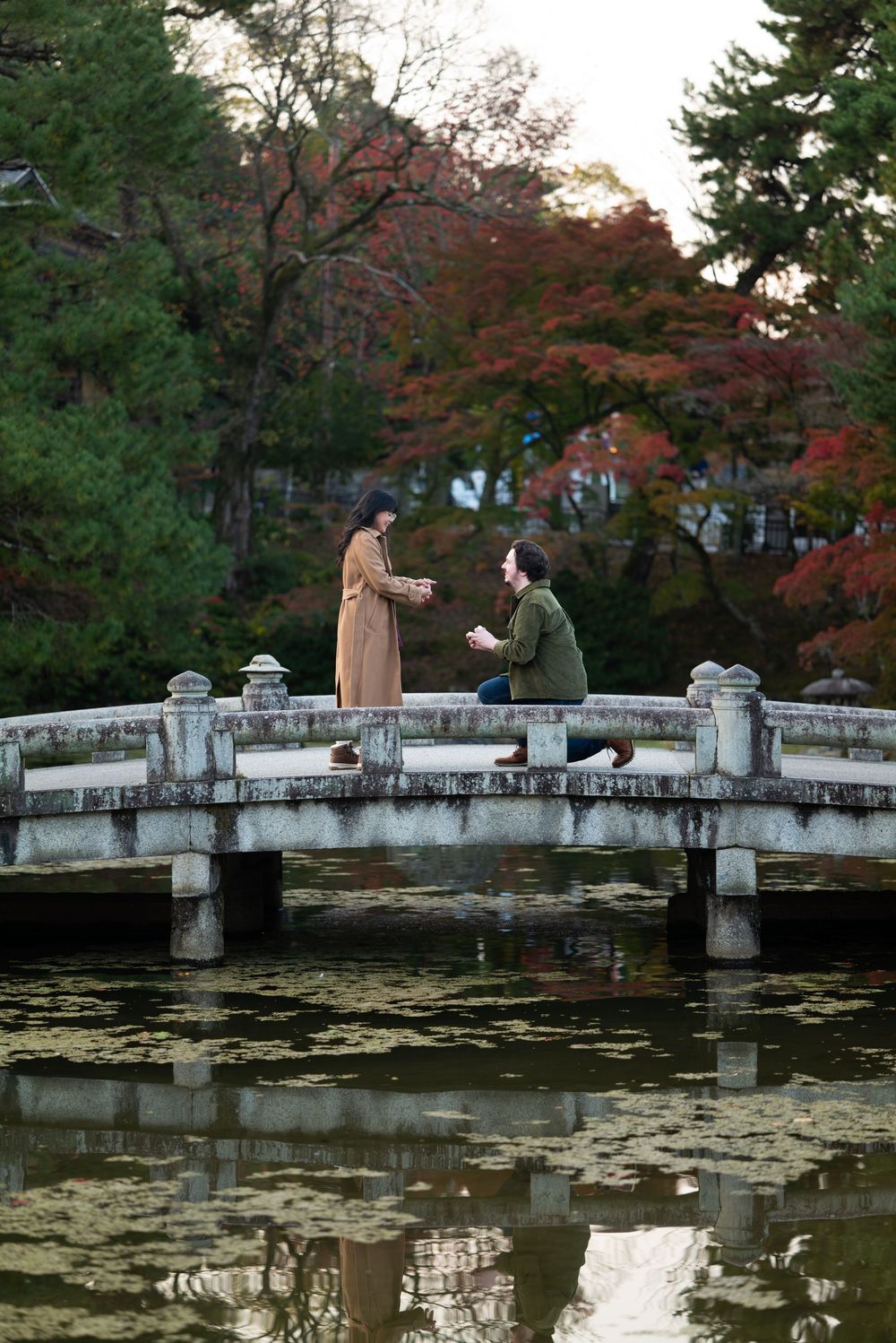 Romantic marriage proposal on a stone bridge over a tranquil pond in a Japanese garden during autumn.