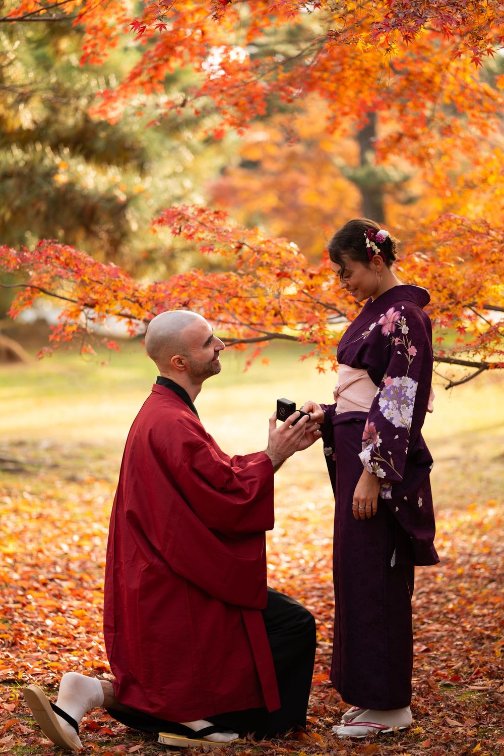 Man in red kimono proposes to woman in purple floral kimono amid vibrant autumn foliage in Japanese garden.
