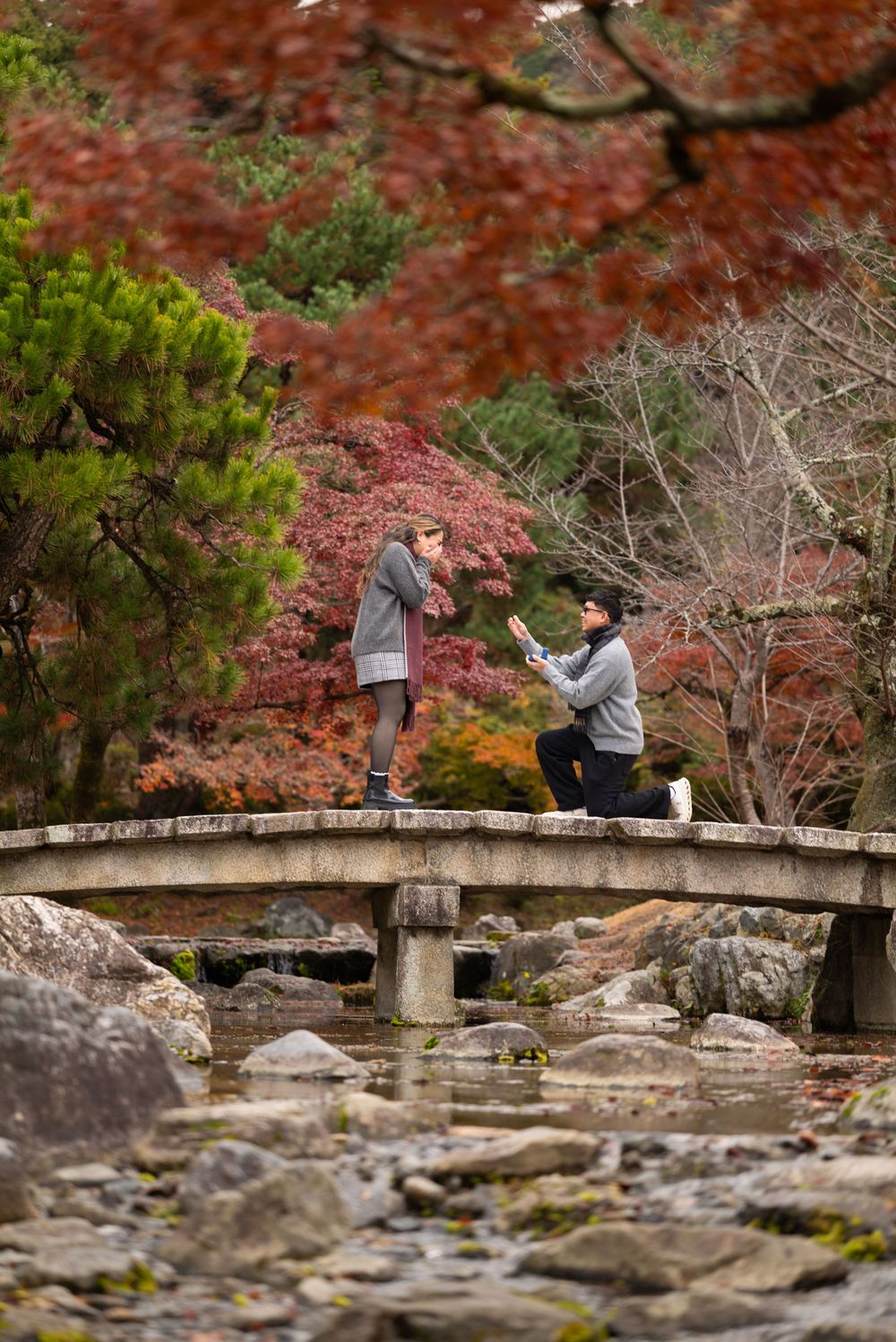 Man proposes on stone bridge surrounded by autumn red foliage in a Japanese garden.