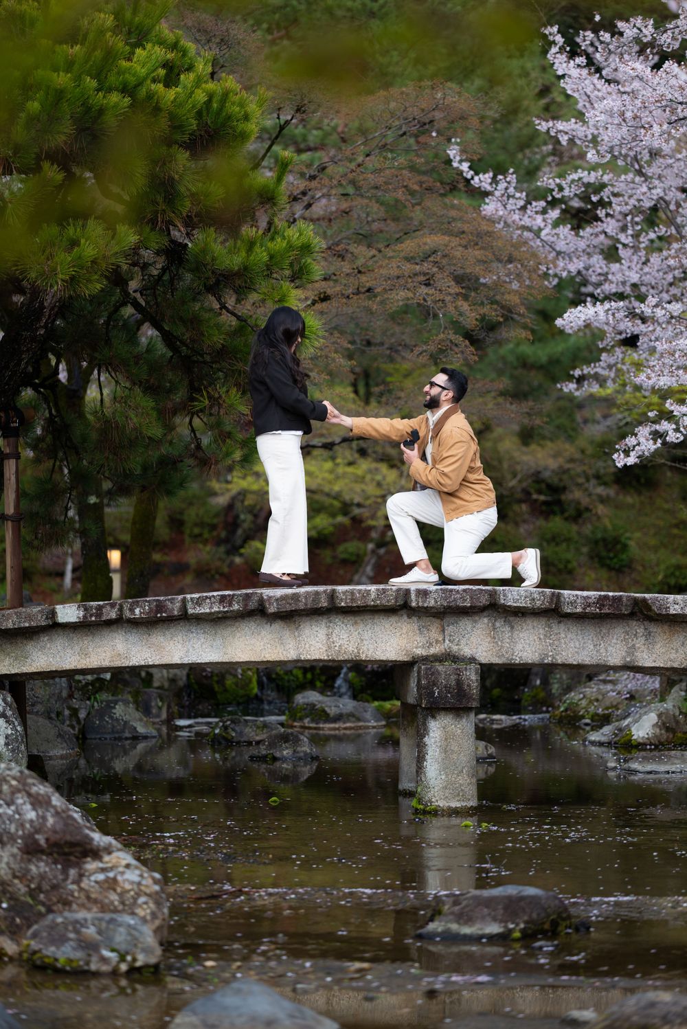 Man proposes on knees to woman on stone bridge surrounded by cherry blossoms in Japanese garden.