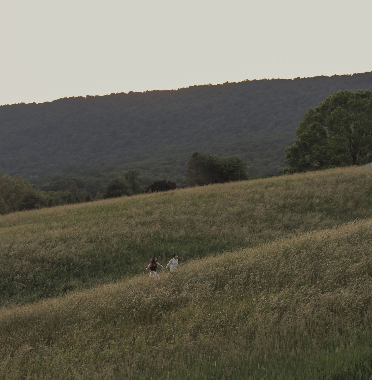 Two people sit together in a vast green hillside meadow with a mountain ridge in the background at dusk.