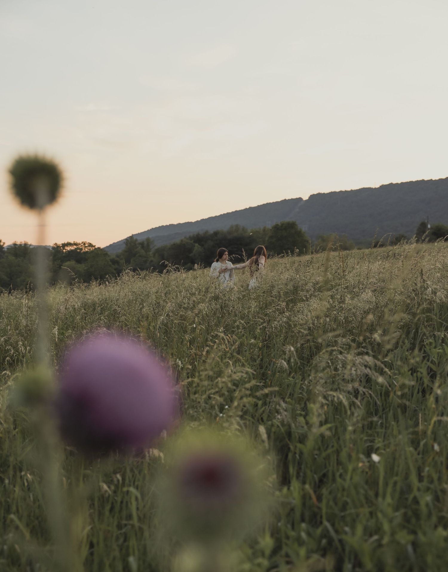 Couple holds hands walking through a wildflower meadow at sunset with purple flowers in the foreground.