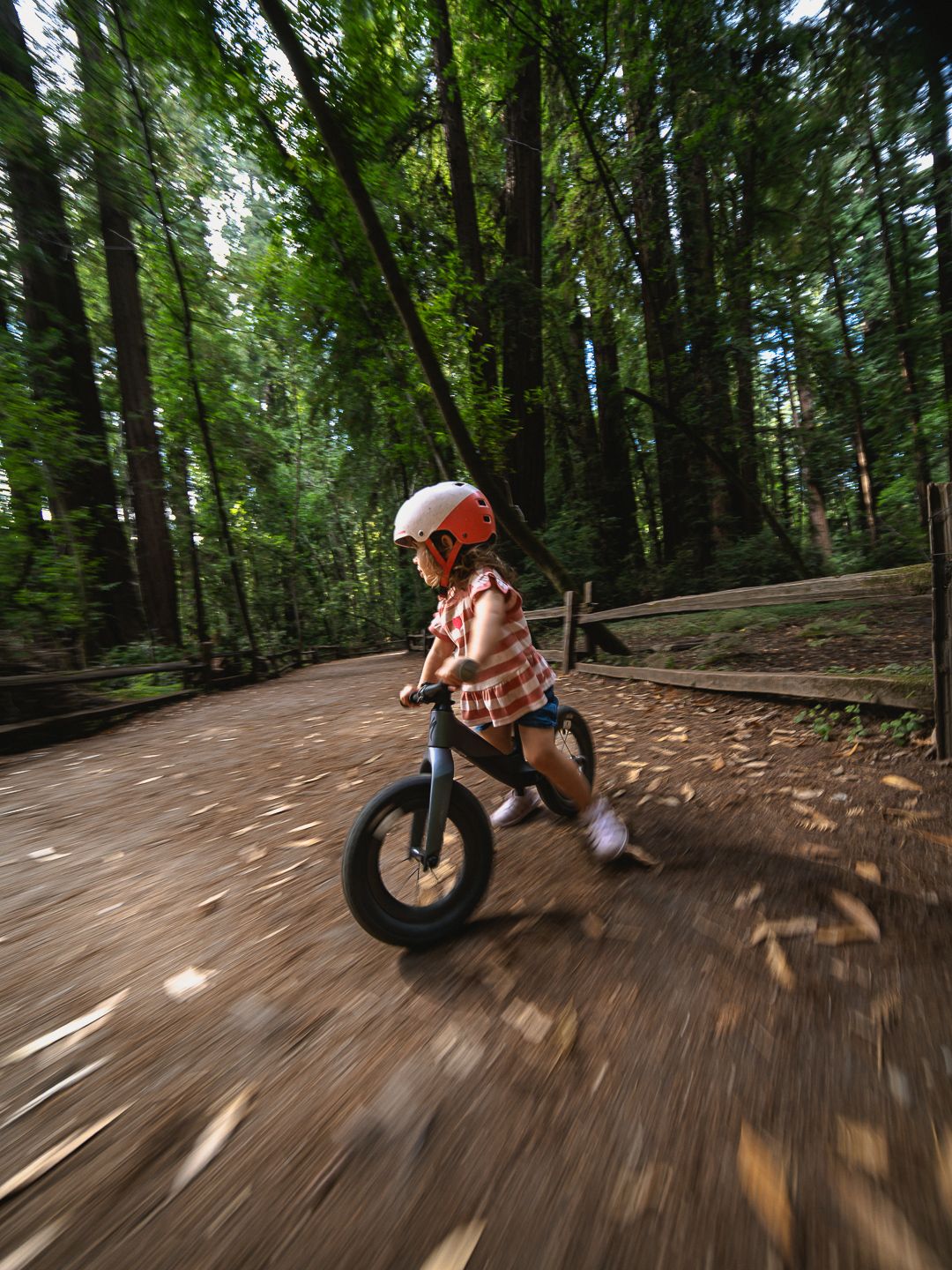 Child riding a balance bike on a forest path wearing a pink helmet, motion blur capturing speed among tall trees.
