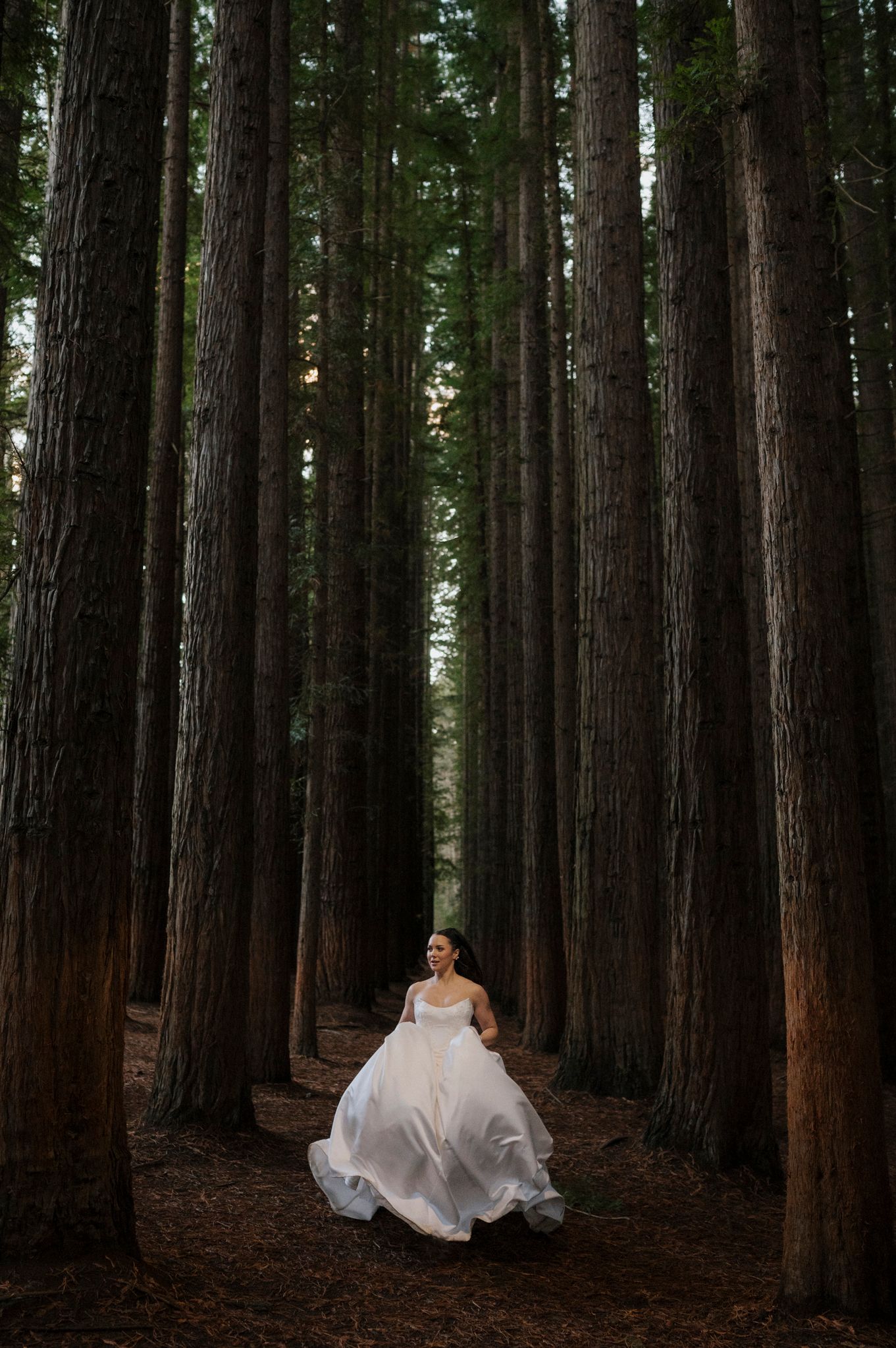 Bride in flowing white gown running through tall redwood forest trees, creating a magical and ethereal wedding photo.