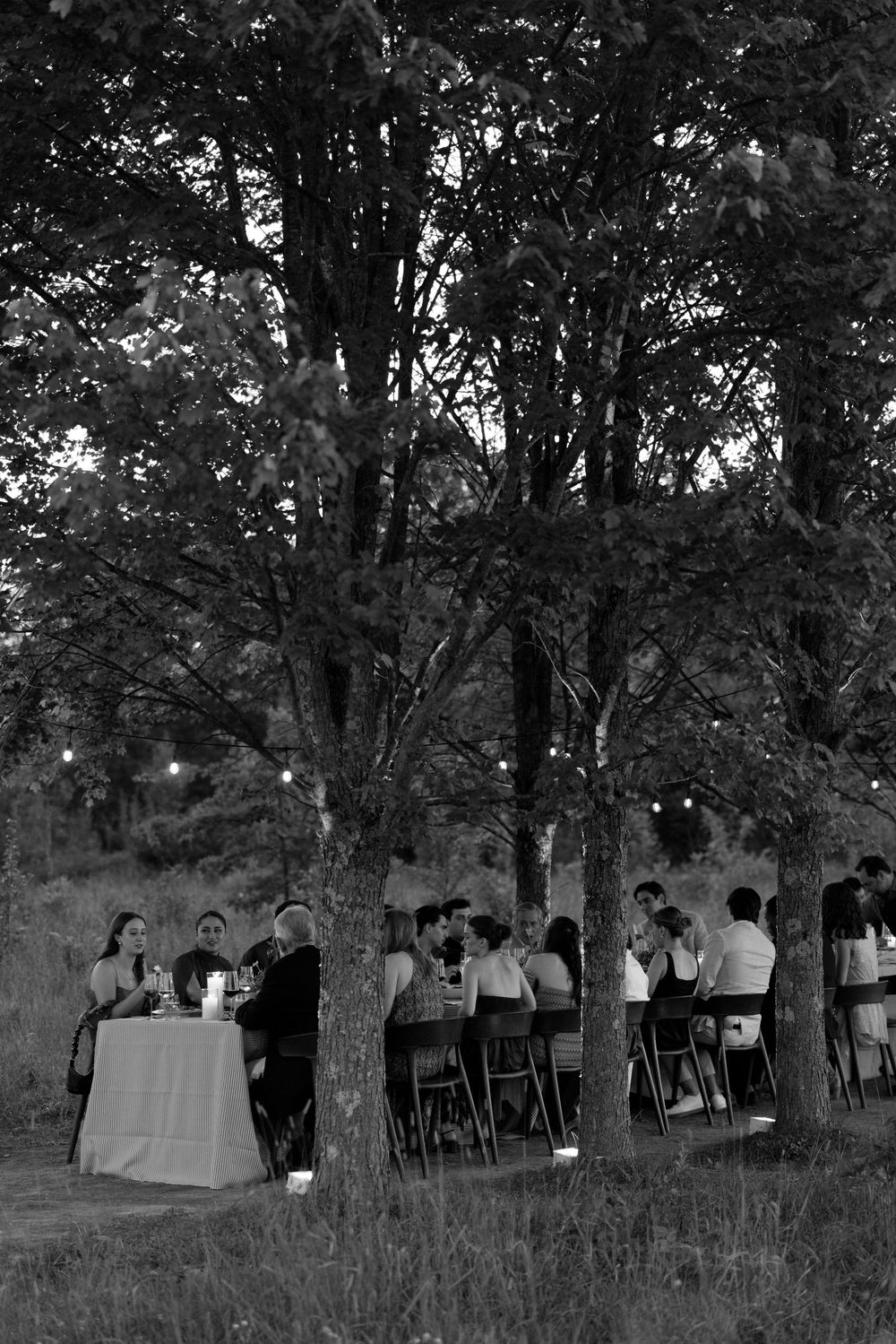 Black and white photo of wedding guests dining outdoors under trees with string lights at night.