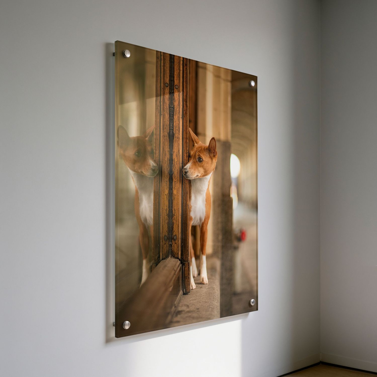 Photographer Red Deer, Alberta. Pet Photographer. Dog Photographer. Acrylic Wall Art