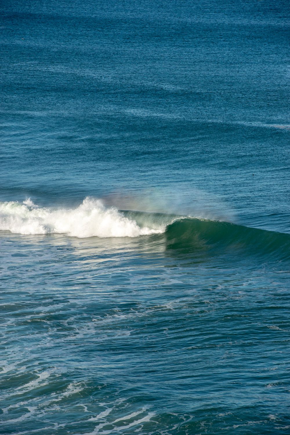 A powerful ocean wave crests and breaks with white foam against deep blue sea water in natural daylight.