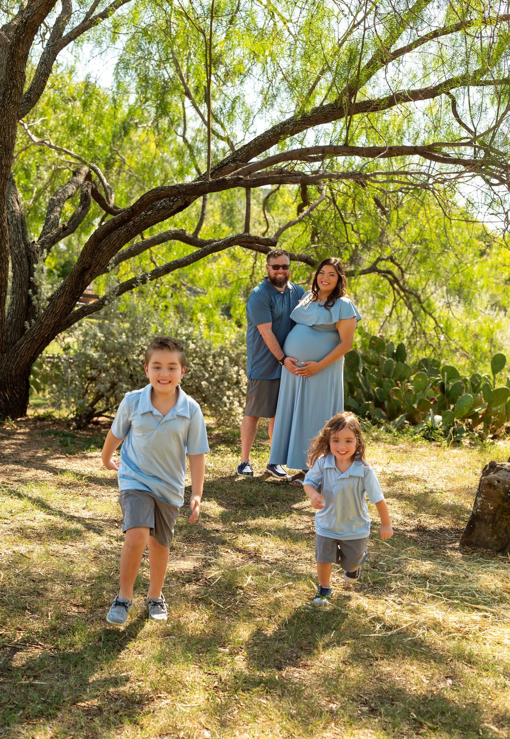 Pregnant woman and man pose under tree while two young boys in matching blue outfits run toward camera outdoors.