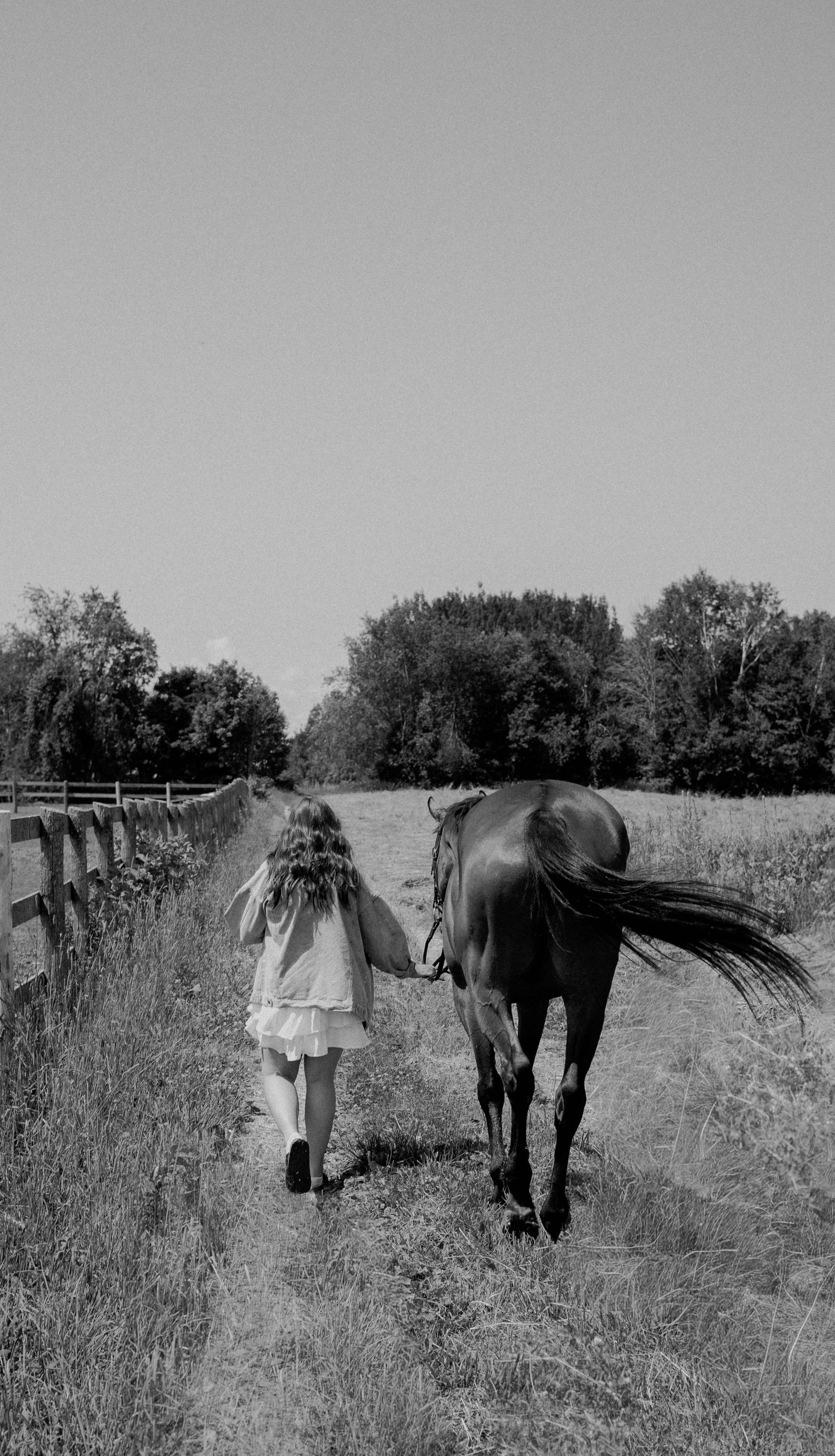 Girl in white dress walking a bay horse along a fenced farm path in black and white.