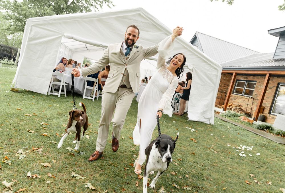 Joyful newlyweds dance with two dogs at outdoor wedding reception with white tent backdrop.