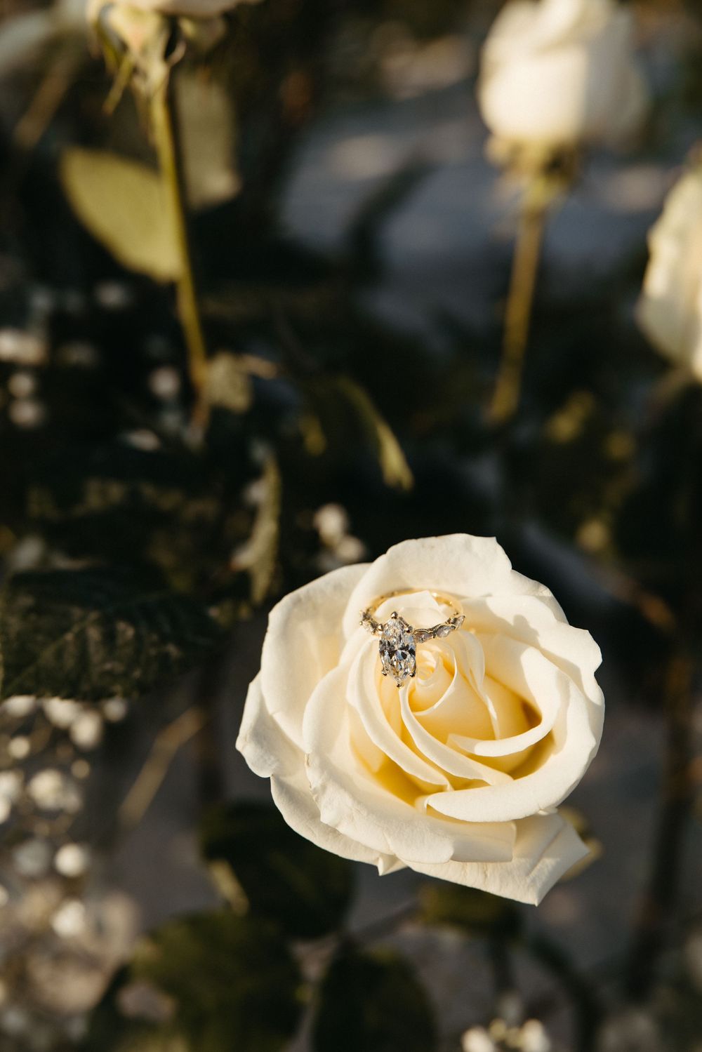 Diamond engagement ring resting in a white rose bloom surrounded by floral arrangement.