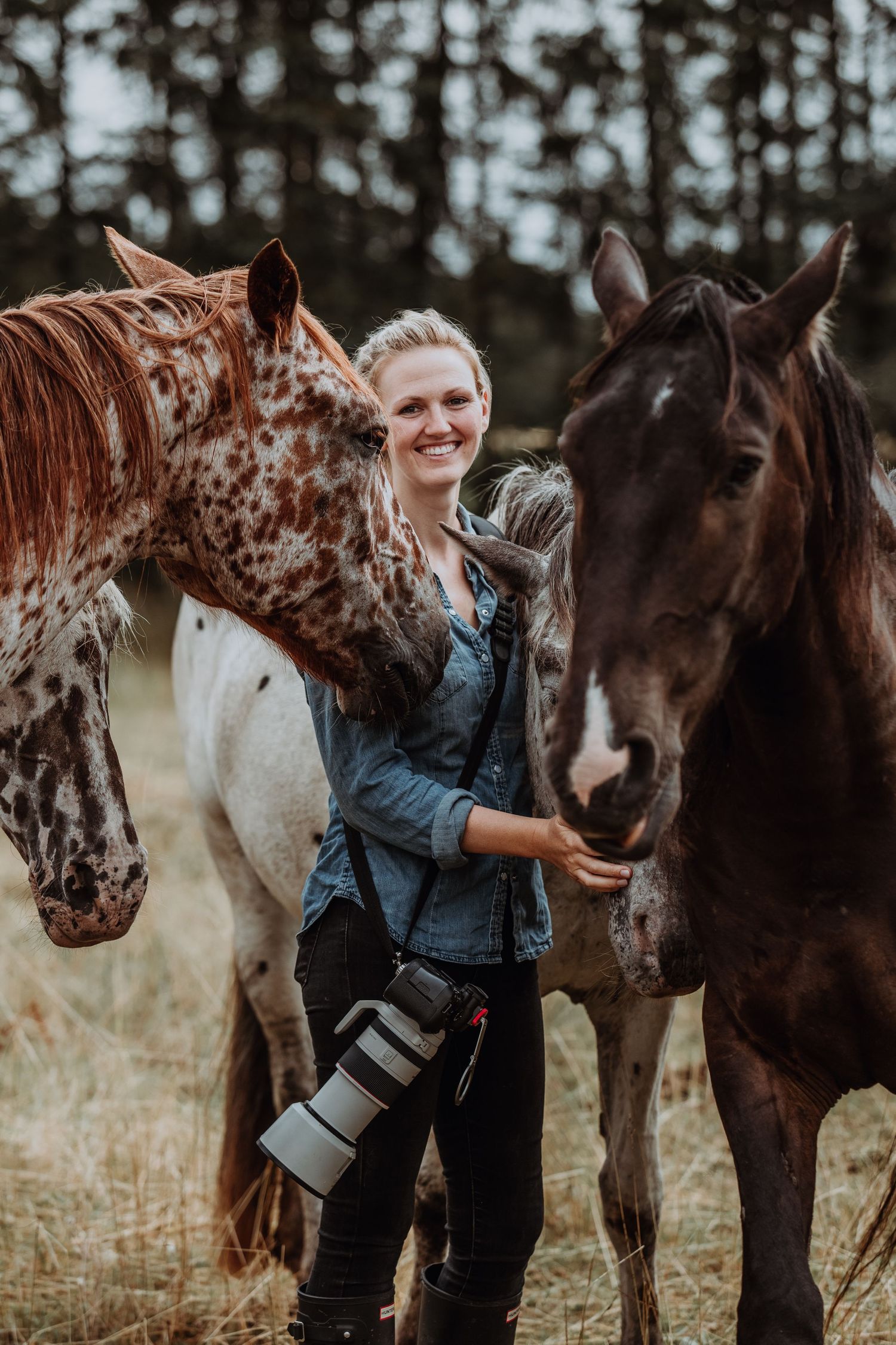 Photographer crouching between two spotted Appaloosa horses in a field, capturing close-up shots with a DSLR camera.