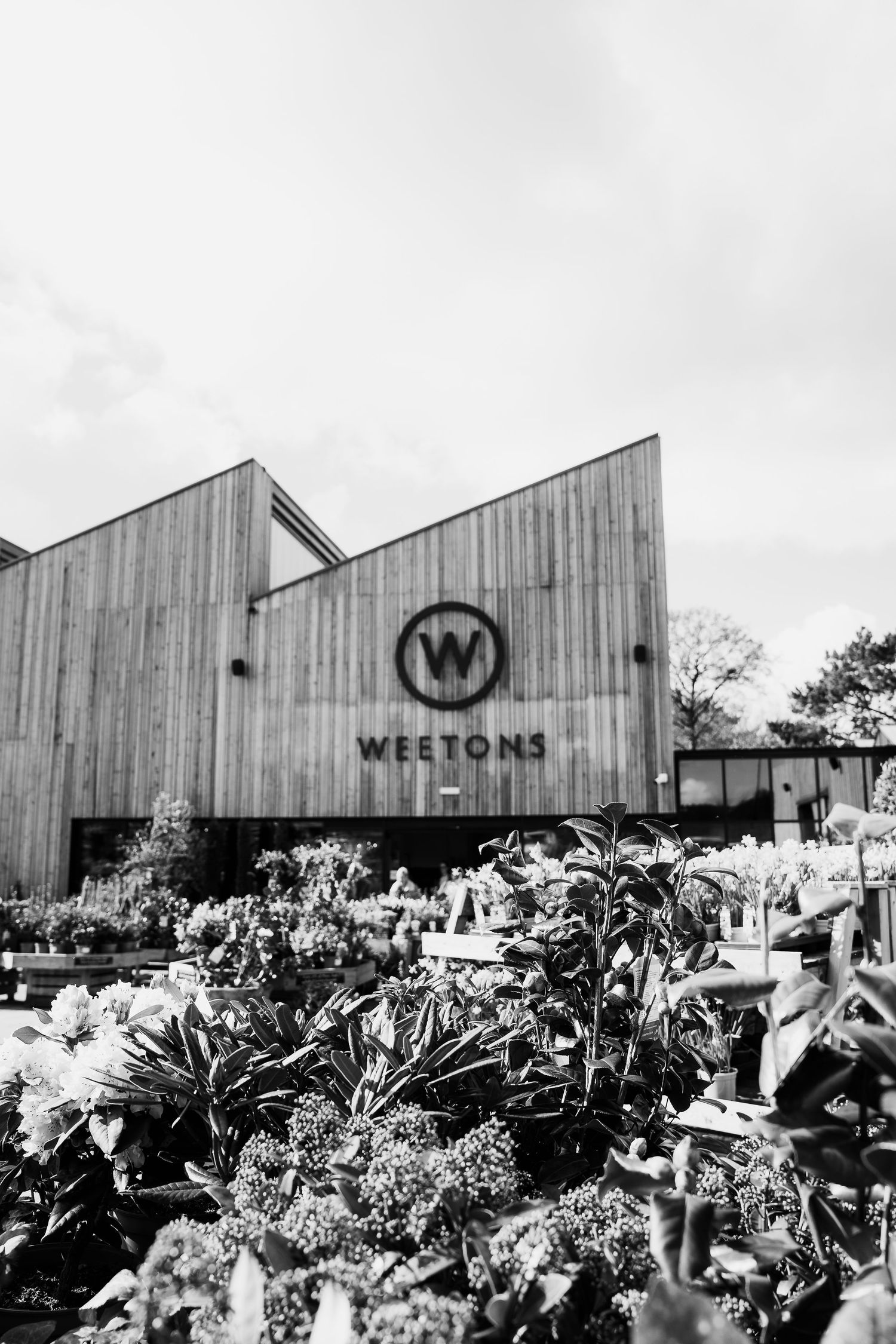 Weetons Wedding Photographer Harrogate