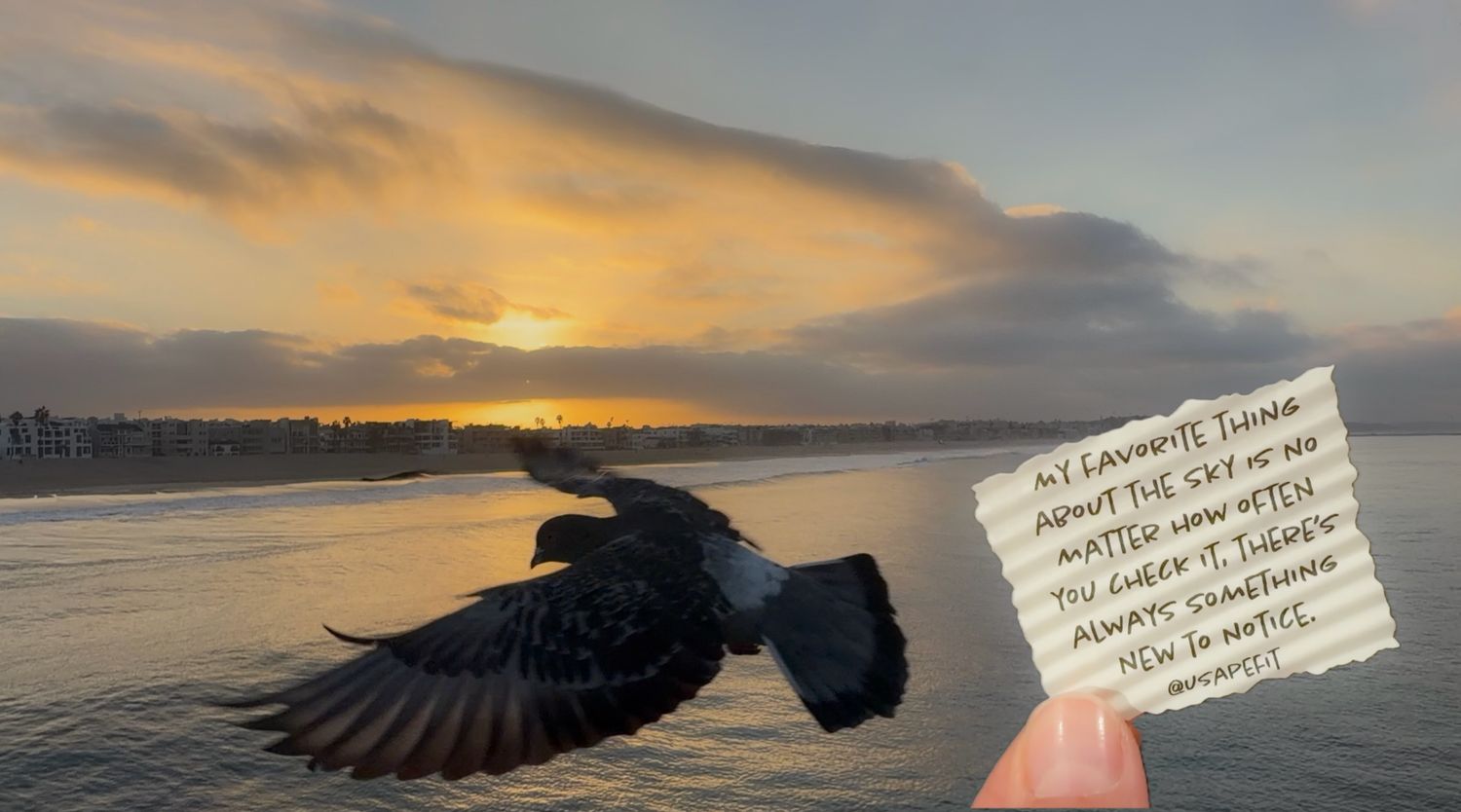 Pigeon in flight over a calm ocean at golden sunset, with a hand holding a handwritten note about always noticing something new.