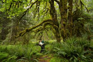 Couple kissing in a mossy forest in Olympic National Park, Captured by Savvy Photography