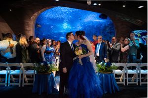 Couple shares first kiss at aquarium wedding ceremony at Seattle Aquarium Captured by Savvy Photography