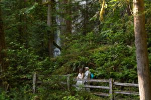 Couple standing on wooden bridge surrounded by lush green forest with waterfall in background. n Olympic National Park, Savvy Photography
