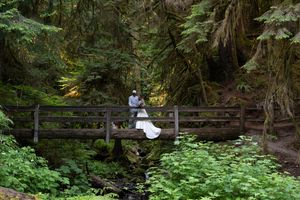 Bride and groom share a romantic moment on a wooden bridge surrounded by lush green in Olympic National Park, Captured by Savvy Photography