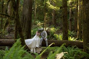 A bride and groom share a romantic kiss on a mossy log surrounded by lush ferns in an enchanting forest setting.