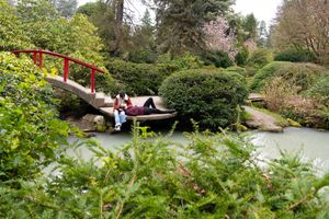 Couple relaxing by a serene Japanese garden pond with a red arched bridge surrounded by lush greenery. Captured by Savvy Photography