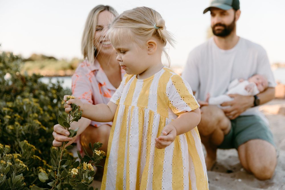 A toddler girl in a yellow striped dress explores flowers while her parents sit behind her holding a newborn baby.